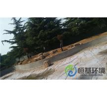 迎賓館濕地工程—景觀樹(shù)種植